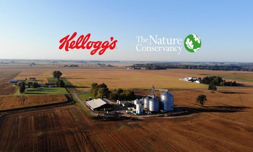 Kellogg to split into 3 companies — snacks, cereals, and plant-based food