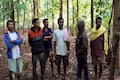 The futility of the teak forest in Kandhamal