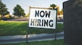Expect technology-linked job market to remain strong: TeamLease