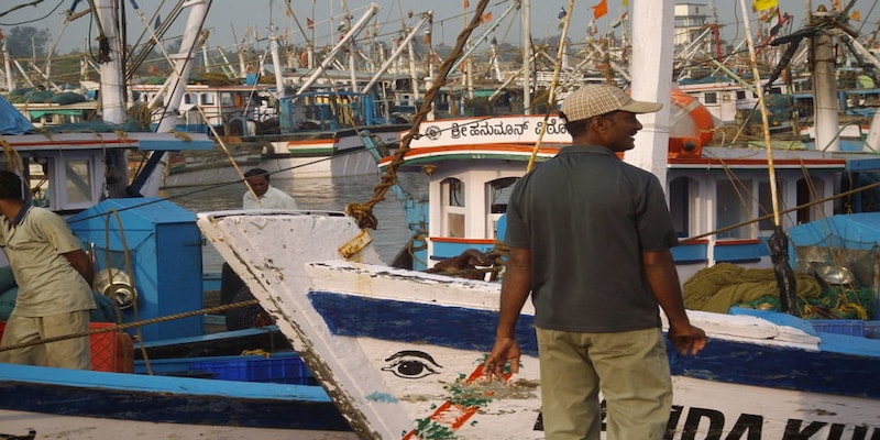 Fish meal and fish oil industries pose threat to the fishing sector in India