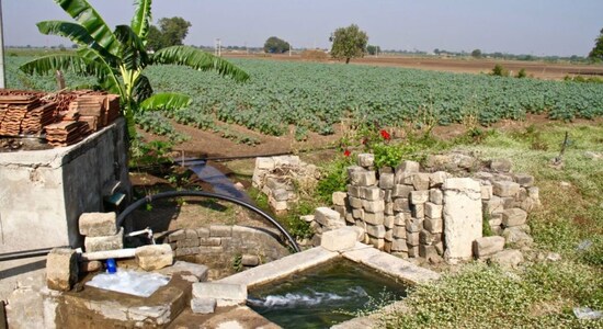 Irrigation linked to reduced rainfall in northern India