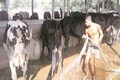 Govt revises yearly interest subvention from up to 2% to 2.5% for dairy scheme