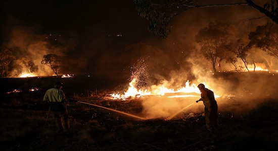 Firefighters from a local brigade work to extinguish flames after a bushfire burnt through the area in Bredbo, New South Wales, Australia, February 2, 2020.  REUTERS/Loren Elliott