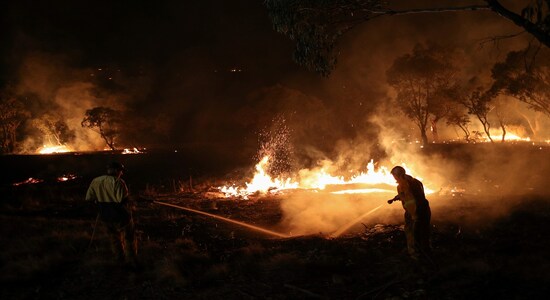 Firefighters from a local brigade work to extinguish flames after a bushfire burnt through the area in Bredbo, New South Wales, Australia, February 2, 2020. REUTERS/Loren Elliott Firefighters from a local brigade work to extinguish flames after a bushfire burnt through the area in Bredbo, New South Wales, Australia, February 2, 2020. REUTERS/Loren Elliott