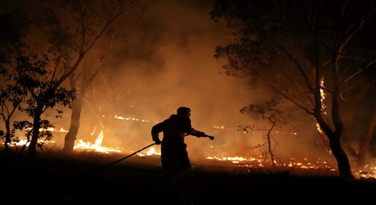 A firefighter from a local brigade works to extinguish flames after a bushfire burnt through the area in Bredbo, New South Wales, Australia, February 2, 2020. REUTERS/Loren Elliott A firefighter from a local brigade works to extinguish flames after a bushfire burnt through the area in Bredbo, New South Wales, Australia, February 2, 2020. REUTERS/Loren Elliott
