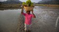 CNBC-TV18 RTI: 1.2 crore farmers await Aadhaar data verification to claim next installment