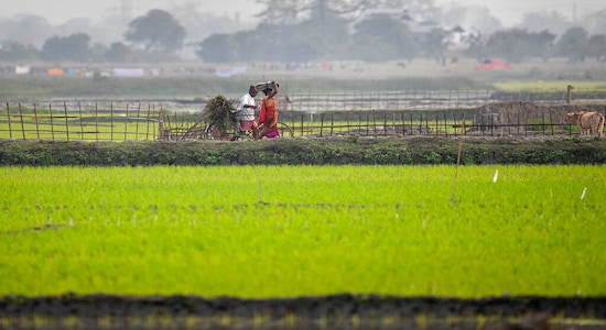 UPL, share price, stock market, agrochemical, CLSA UPL, share price, stock market, agrochemical, CLSA
