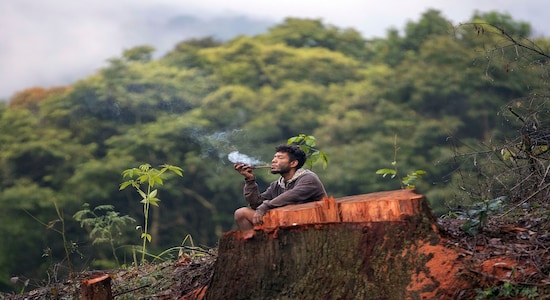 A Guarani Mbya man smokes a pipe next to a cut tree as he occupies land as a protest against real estate developer Tenda which plans to build apartment buildings here, next to his indigenous community's land in Sao Paulo, Brazil, Thursday, Feb. 6, 2020. In response to an injunction filed by the builder, a judge has authorized the eviction of the indigenous protesters from the builder's property. (AP Photo/Andre Penner)
