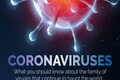 In Pictures: All you need to know about coronavirus