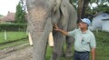 Politics over population worsening man-animal conflict in Assam: The Elephant Doctor