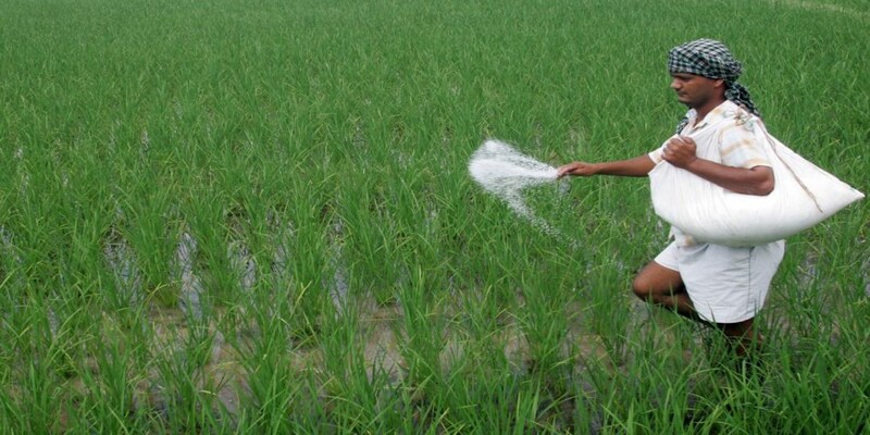 This agri stock surged over 140% in just 4 months