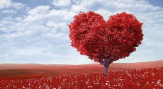 Valentine's Day musings Valentine's Day musings