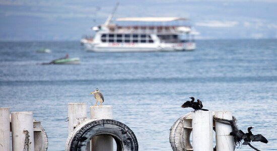 In this Saturday, April 25, 2020 photo, birds rest on as an empty tourist ship is anchored in the Sea of Galilee, locally known as Lake Kinneret. After an especially rainy winter, the Sea of Galilee in northern Israel is at its highest level in two decades, but the beaches and major Christian sites along its banks are empty as authorities imposed a full lockdown. (AP Photo/Ariel Schalit)
