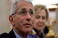 Dr Anthony Fauci says he will retire by year-end to pursue his 'next chapter'