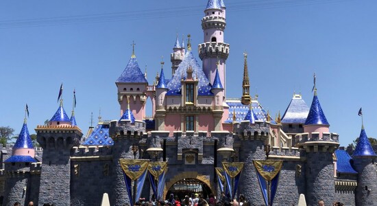 Man arrested trying to quarantine on private Disney island