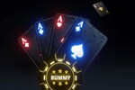 Tamil Nadu hopeful of Guv's assent to Bill banning online Rummy and Poker