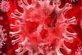 US senator unveils 18-point plan to hold China accountable for coronavirus outbreak