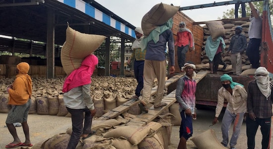 Watch: 4000 trucks parked at Gujarat’s Kandla port after wheat export ban