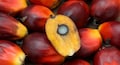Palm oil prices trading higher despite cut in customs duty: Prataap Snacks