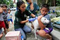 World Rabies Day 2023: History, significance and important facts about rabies