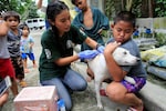 World Rabies Day 2022: History, significance and theme