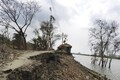 Sundarbans devastated by cyclone Amphan, as coronavirus halts migration