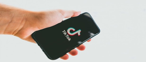 US, UK, New Zealand and others ban TikTok on government devices over safety concerns