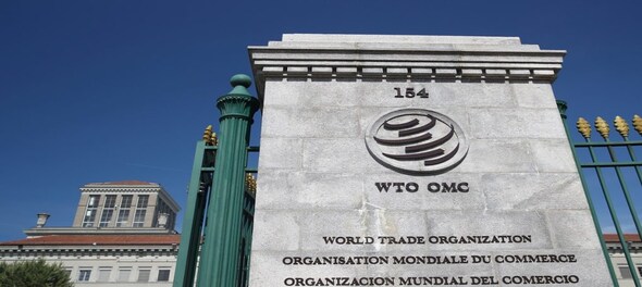 Candidates for WTO chief urge hasty vetting of next leader amid 'deep crisis'