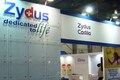 Cadila Healthcare shares rise 3%; Zydus supplies first batch of Covid vaccine ZyCov-D