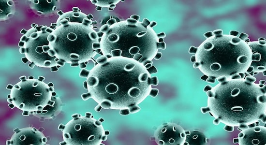Novel coronavirus can survive on skin for 9 hours: Study