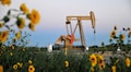 Oil prices fall on worsening outlook for growth and inflation