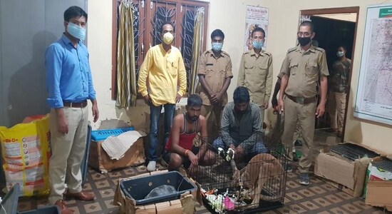 Assam Forest Department foils attempt to smuggle out exotic animals; Kangaroo and Aldabra Tortoises seized