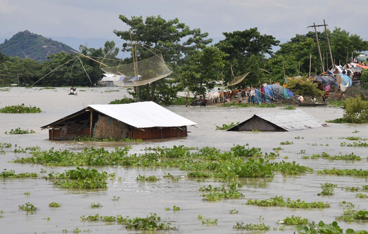 Assam Flood In Pictures: Third Wave Submerges 92% Of Kaziranga National ...