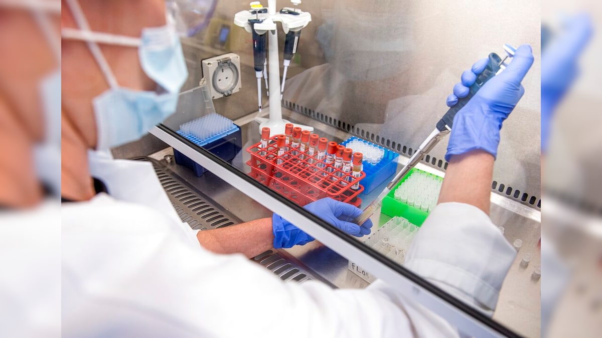 glutathione and viral infection The Role of in Selected Diseases Effects of oxidative stress on
