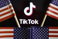 Walmart joins Microsoft bid for TikTok as CEO of social media app quits