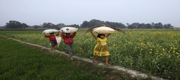 View: Strong agri focus expected in Budget