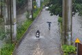 Southwest monsoon reaches Mumbai and surrounding areas: IMD