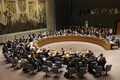 UN Security Council president dismisses US sanctions move on Iran
