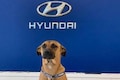 Hyundai Brazil’s new car salesman has four legs and just got a promotion