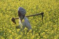 After being stopped from marching towards Chandigarh, protesting Punjab farmers spend night on road