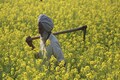 Bayer, Cargill ink pact to empower smallholder farmers in India with digital solutions