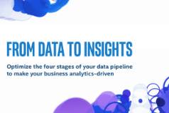 From Data to Insights - Your guide to analytics readiness and optimization of each stage of the data lifecycle.