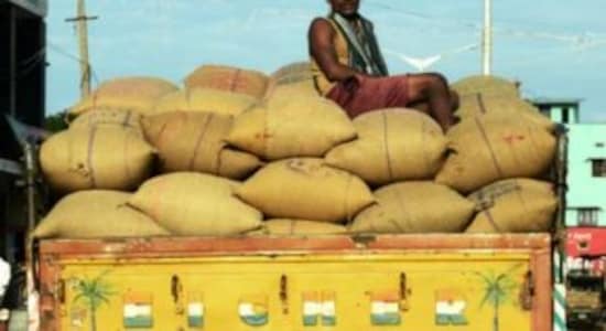 Govt approves mandatory packaging of food grains in jute bags