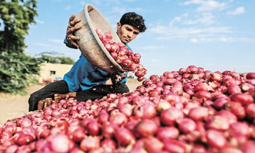 Onion prices soar to Rs 100 per kilogram in Mumbai, Pune