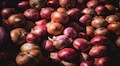 Centre offers buffer stock of onion to states/UTs to check prices: Consumer Affairs Secy