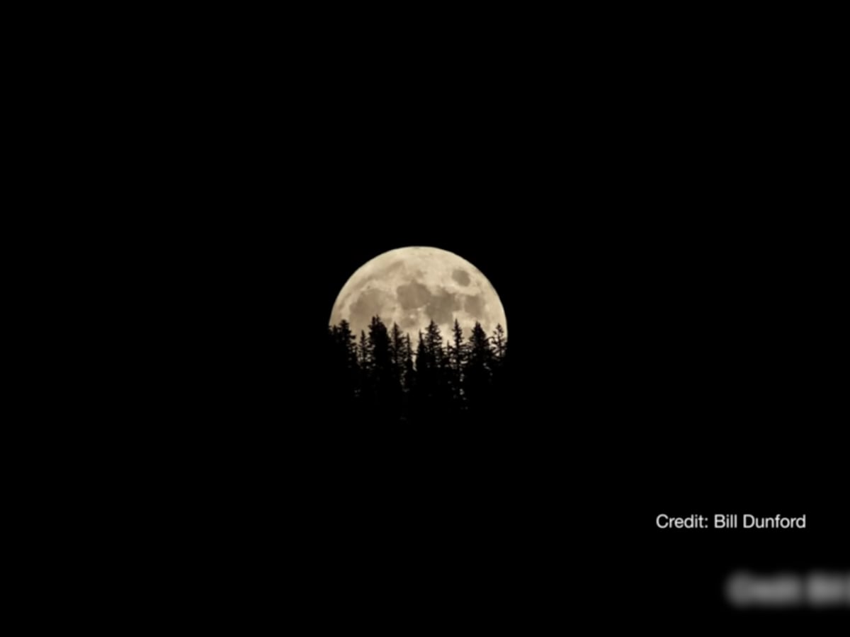 What is the harvest moon, how to watch it? All to know about the supermoon, Explainer News