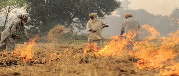 India occupies top spot globally in emissions related to crop burning: Report