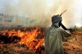Stubble burning: Punjab CM Bhagwant Mann defends farmers, blames Centre