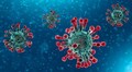 Coronavirus news December 23 highlights: Another more transmissible coronavirus strain detected in UK
