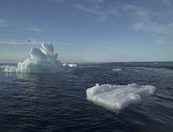 Climate explained: why is the Arctic warming faster than other parts of the  world? - International Science Council